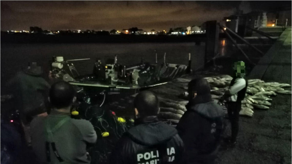Polícia Marítima apreende 1200 kg de corvina no rio Tejo
